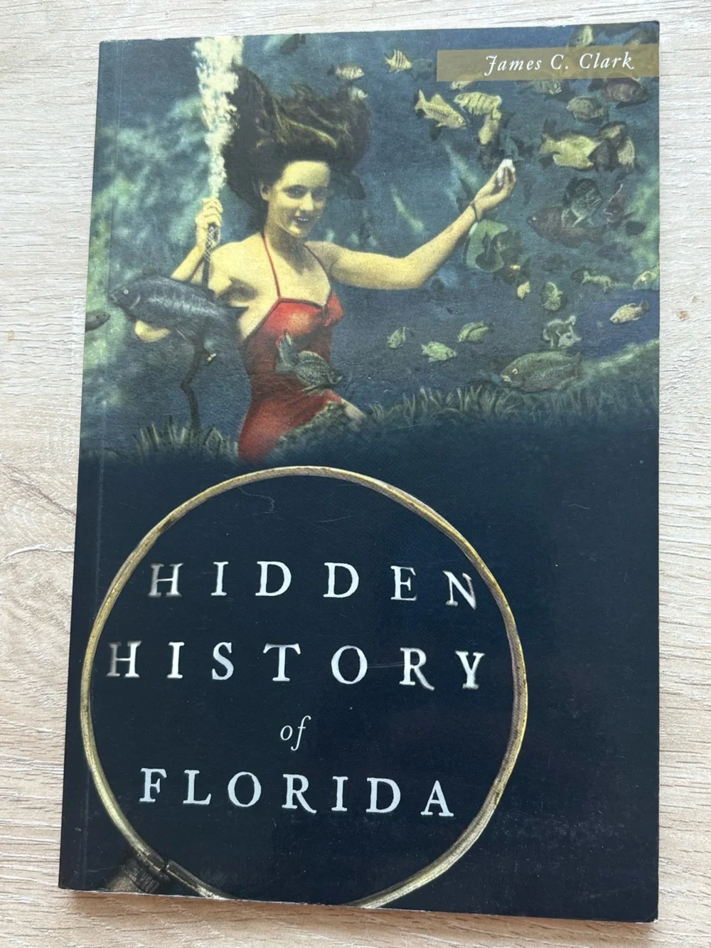 Hidden History of Florida, James C. Clark. Trade Pbk.
